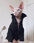 Three-piece suit for SphynxCat