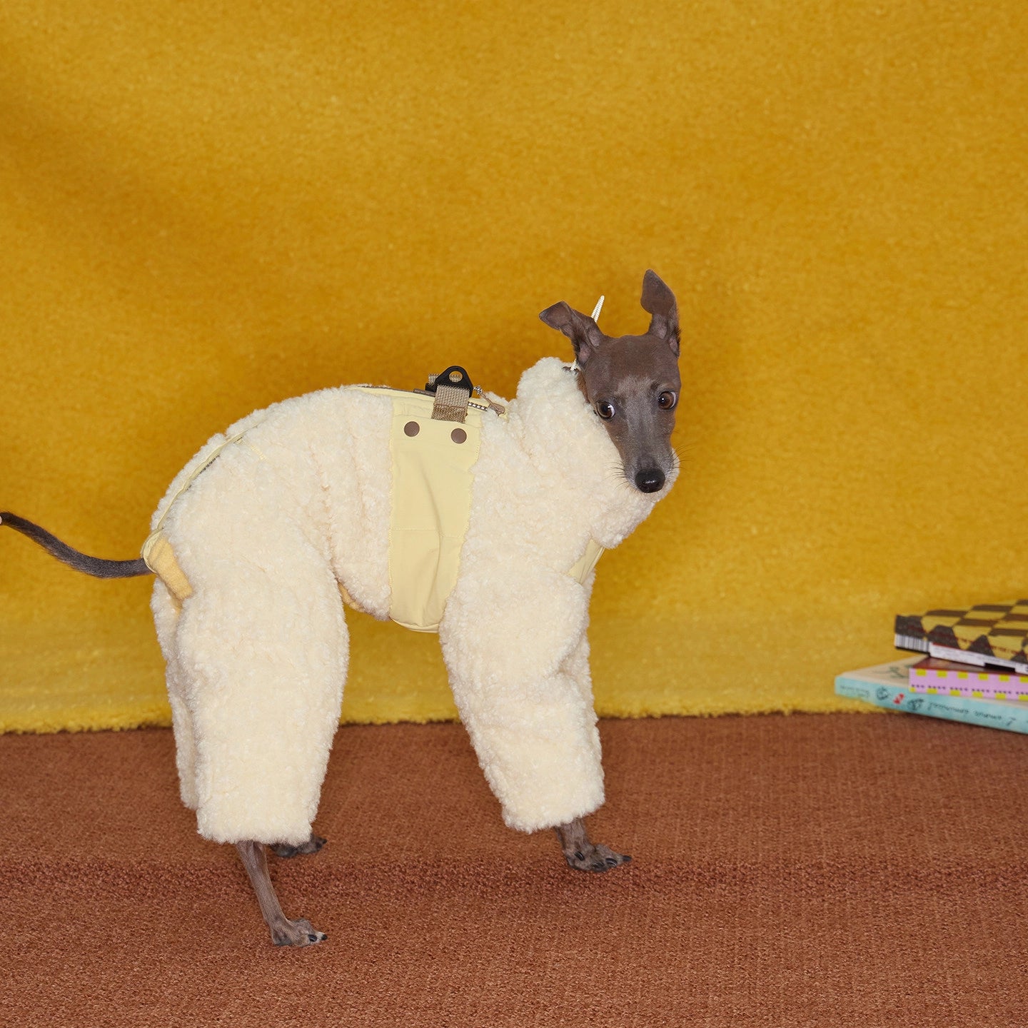 Italian Greyhound &amp; Whippet Snowsuit – Lamb Fleece Winter Onesie