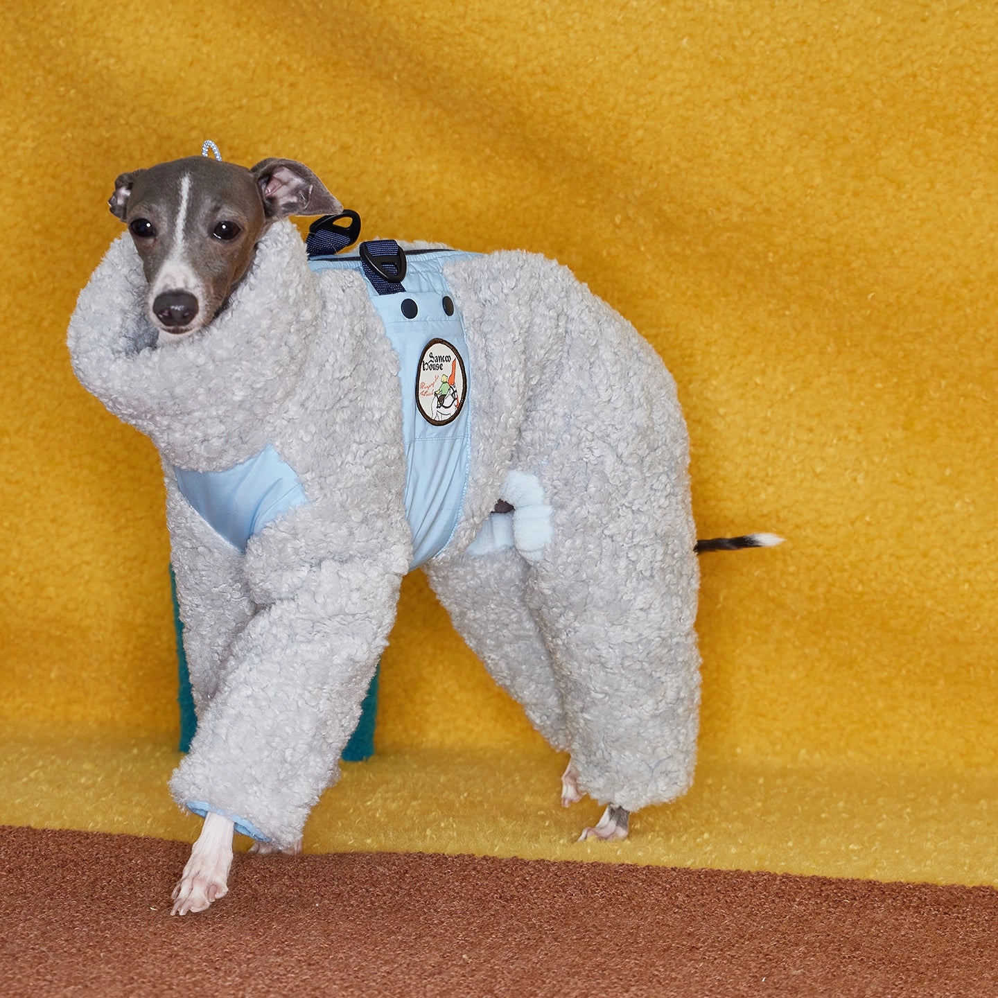 Italian Greyhound &amp; Whippet Snowsuit – Lamb Fleece Winter Onesie