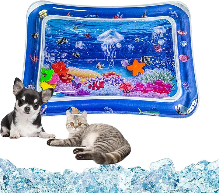 Water Sensor Play Mat for Pets
