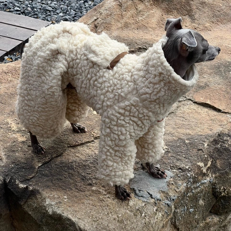 Wool Blend Dog Onesie for Greyhound &amp; Whippet