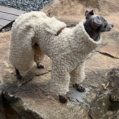 Wool Blend Dog Onesie for Greyhound &amp; Whippet