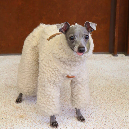 Wool Blend Dog Onesie for Greyhound &amp; Whippet