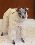 Greyhound & Whippet Wool Blend Onesie – Warm Knit Jumpsuit