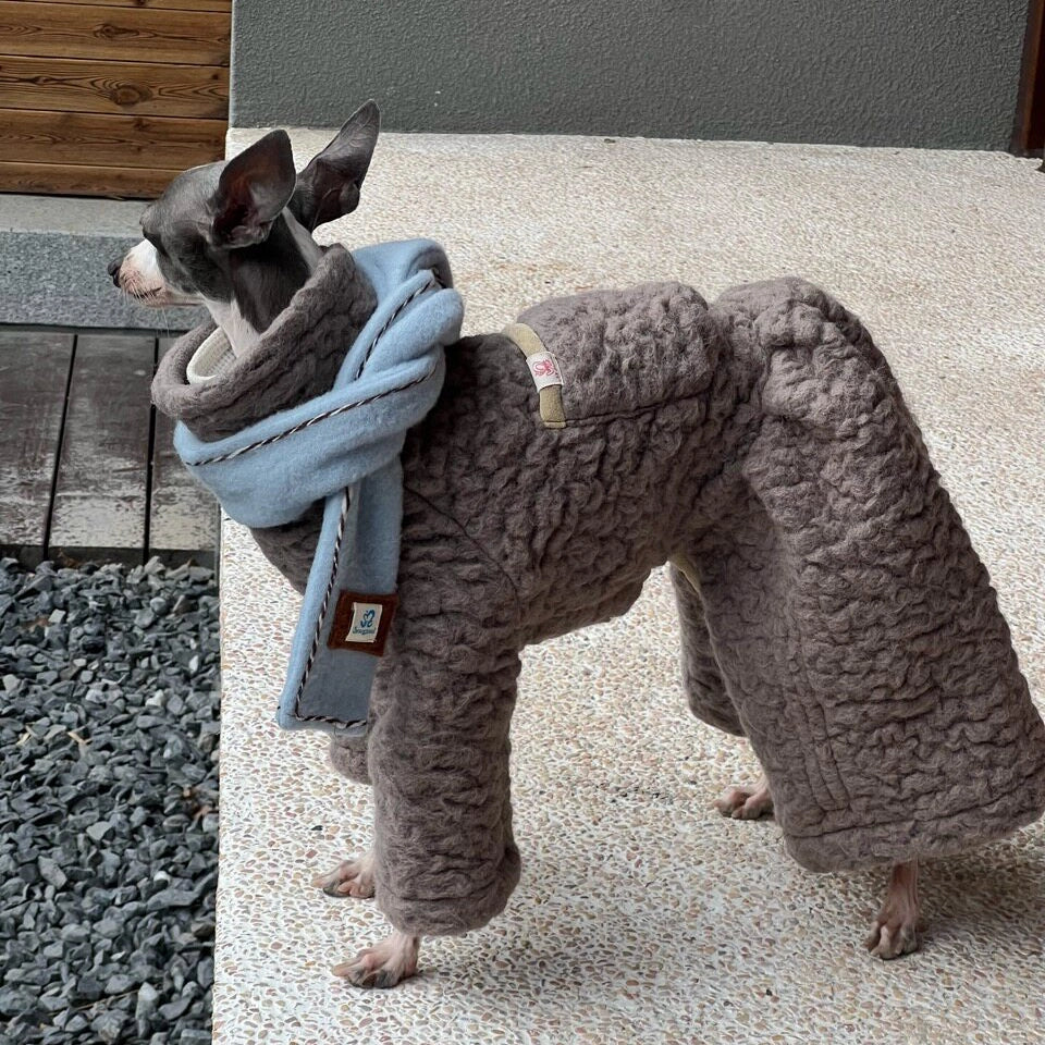 Wool Blend Dog Onesie for Greyhound &amp; Whippet