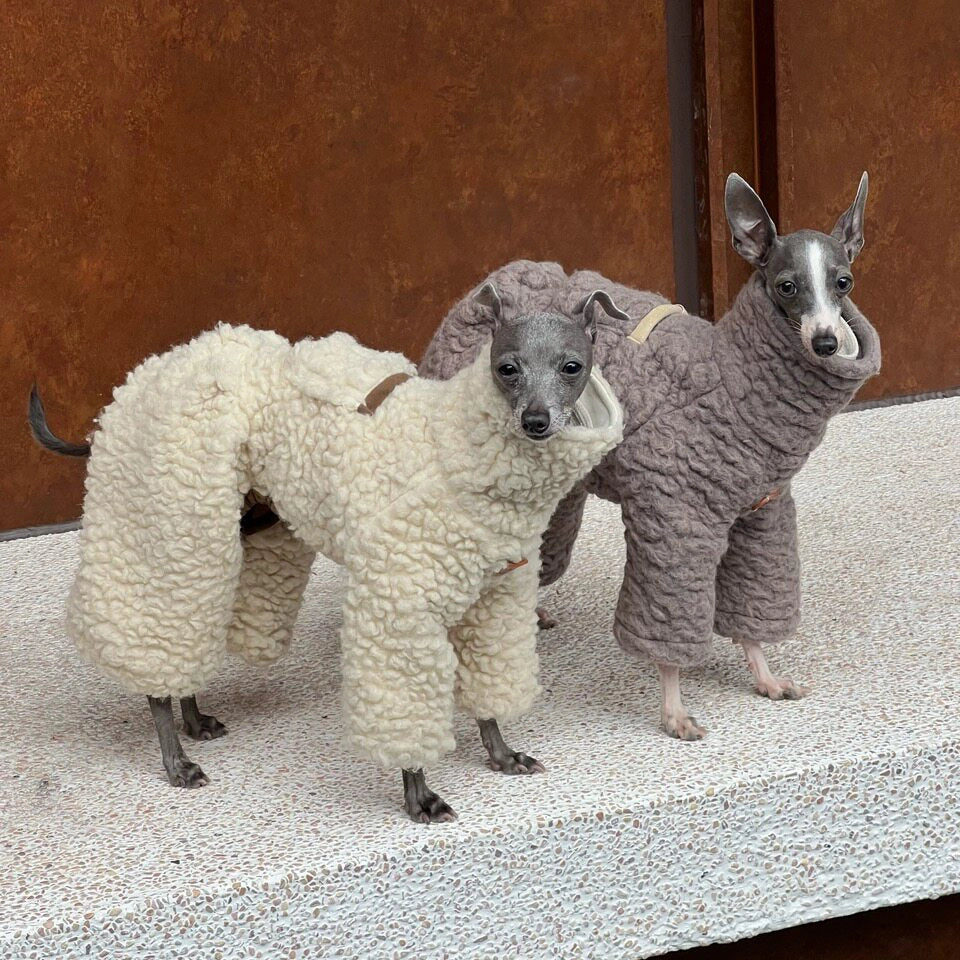 Wool Blend Dog Onesie for Greyhound &amp; Whippet