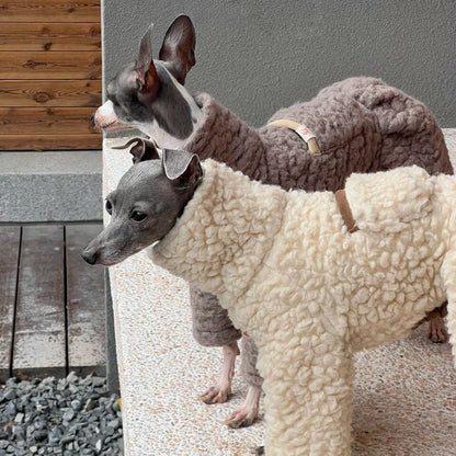 Wool Blend Dog Onesie for Greyhound &amp; Whippet