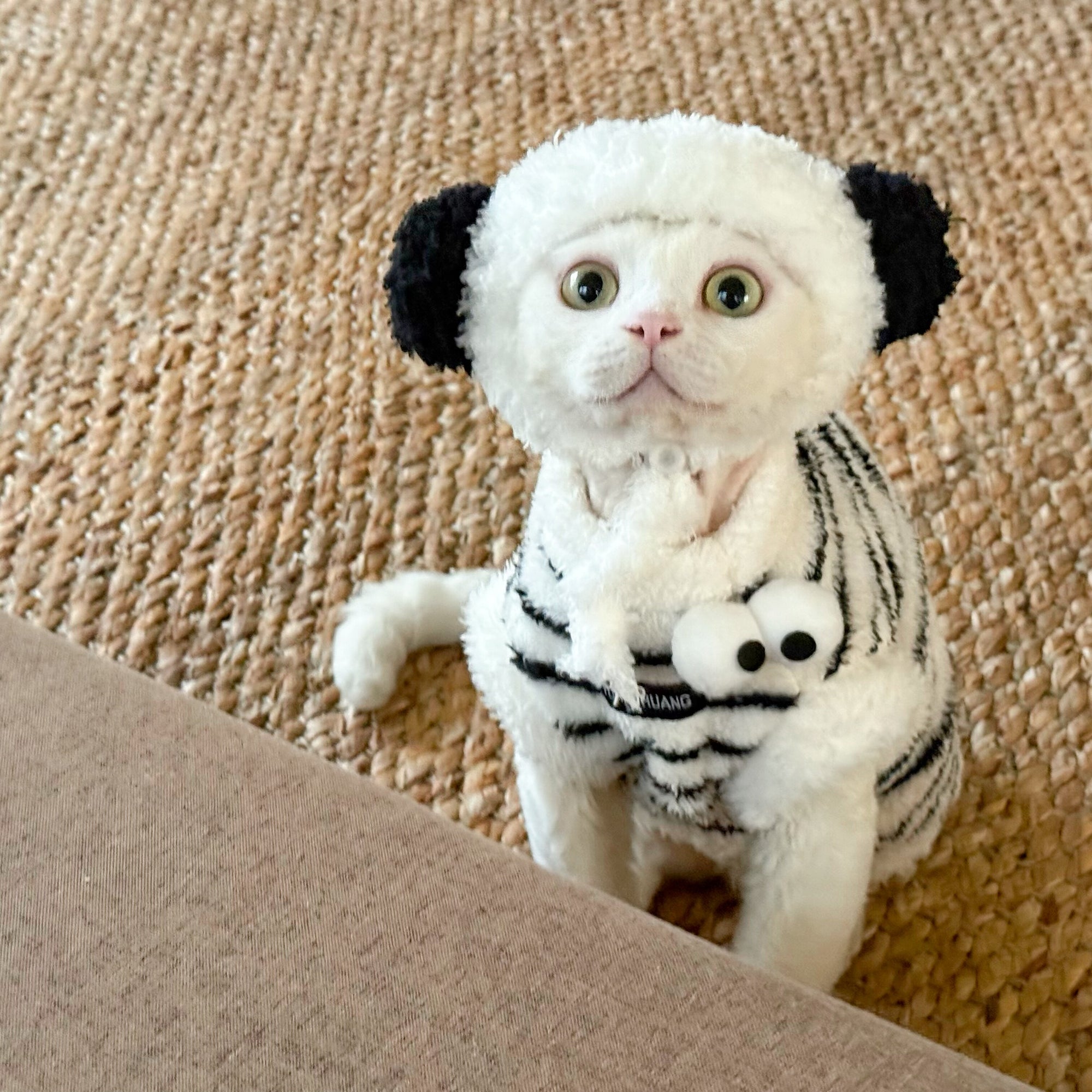 Sphynx Cat Fleece Onesie – Zebra Print Warm Bodysuit