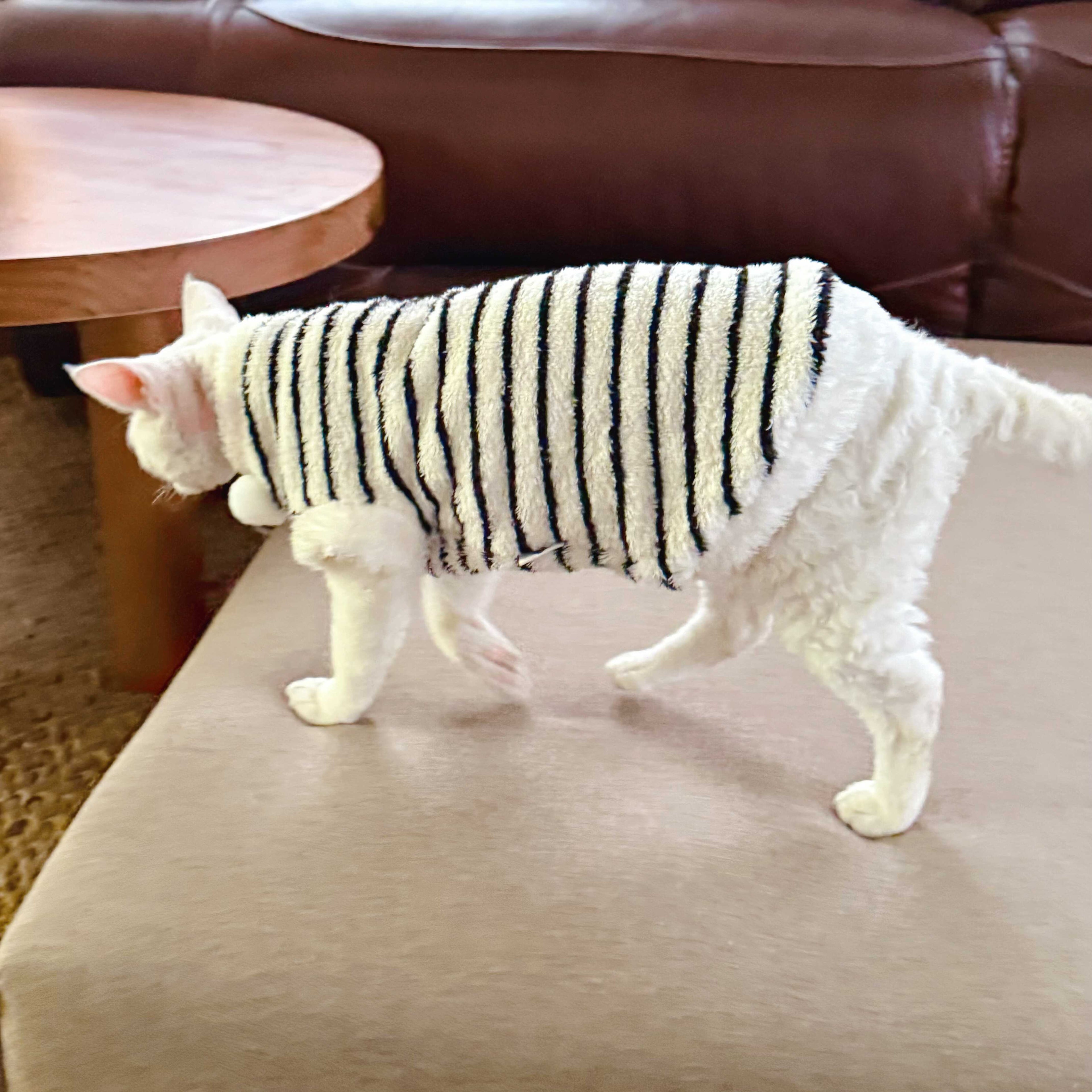 Zebra Fleece SphynxCat DevonRex Clothes