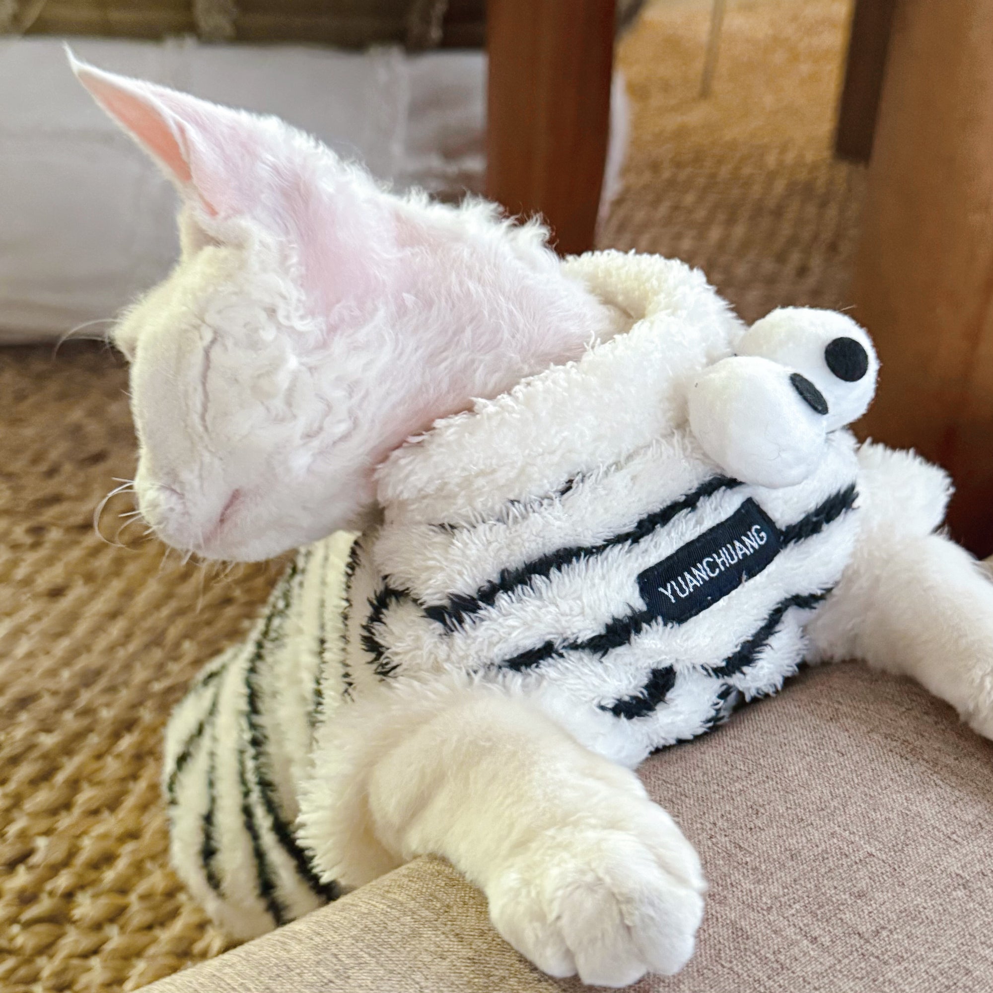 Sphynx Cat Fleece Onesie – Zebra Print Warm Bodysuit