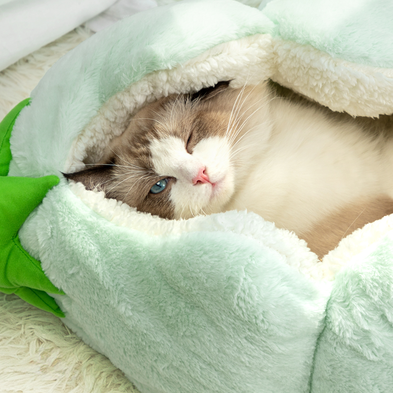 Banana Edamame Cat Bed