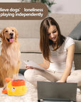 Duck Feeder Toy for Cats and Dogs Interactive Fun Toy