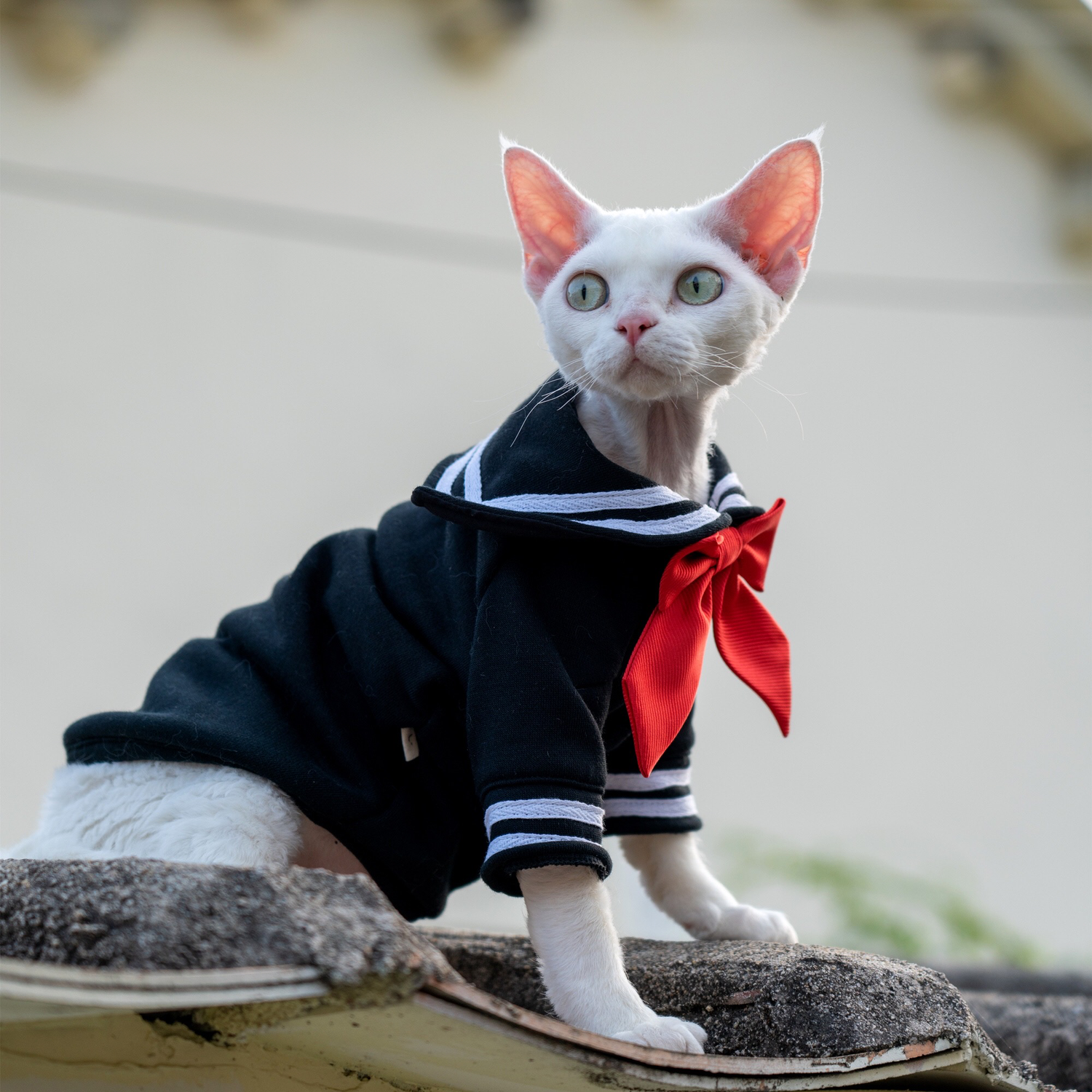 Sailor Kitty Cotton Hoodie Costumes for Cats