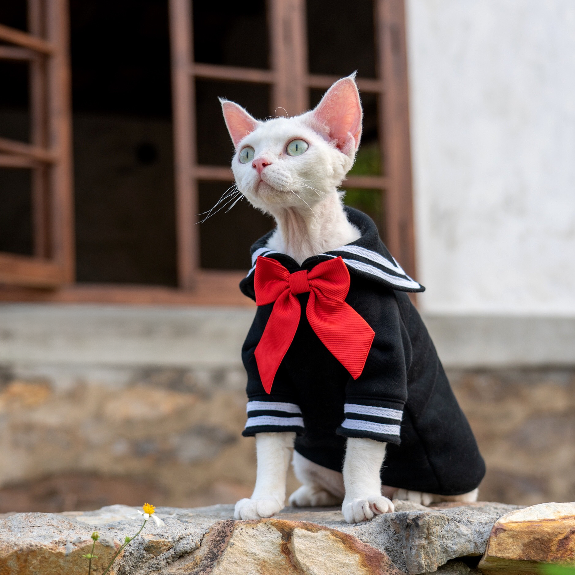 Sailor Kitty Cotton Hoodie Costumes for Cats