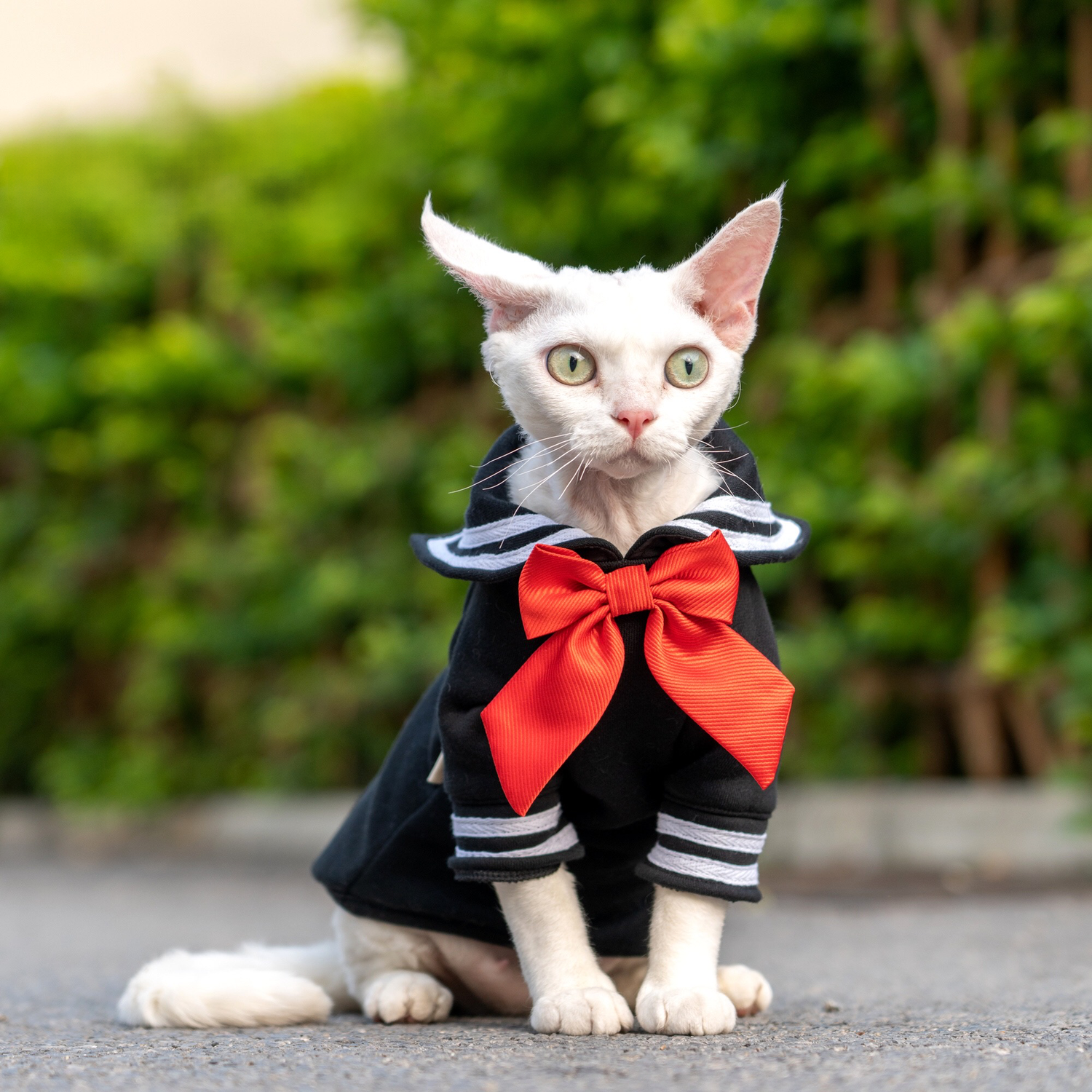 Sailor Kitty Cotton Hoodie Costumes for Cats