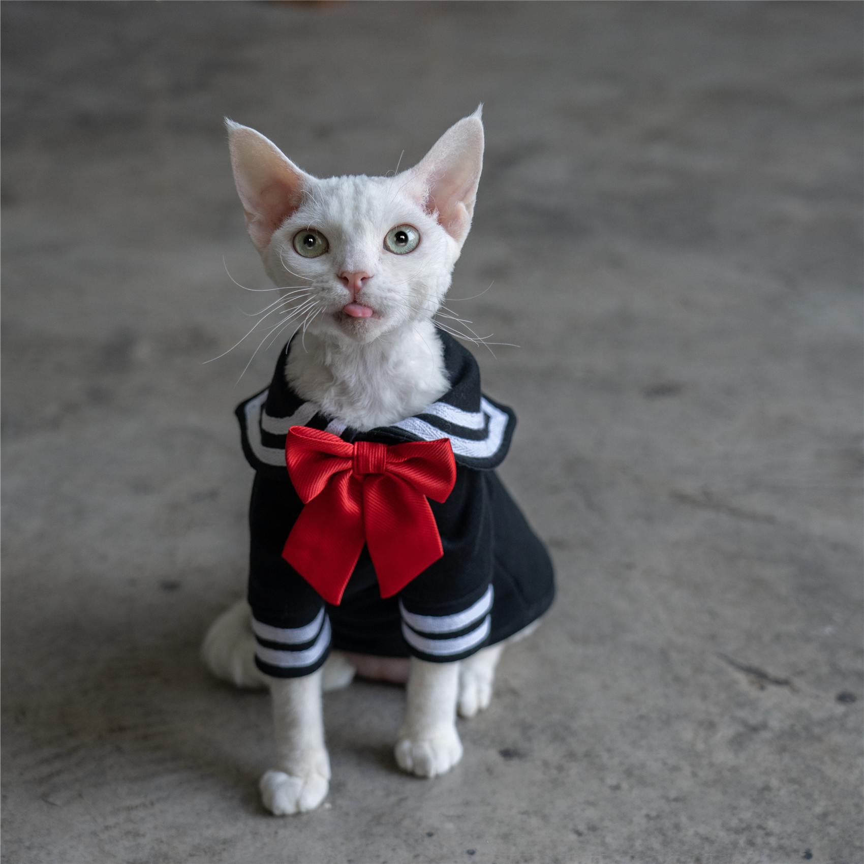 Sailor Kitty Cotton Hoodie Costumes for Cats