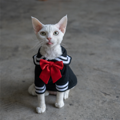 Sailor Kitty Cotton Hoodie Costumes for Cats