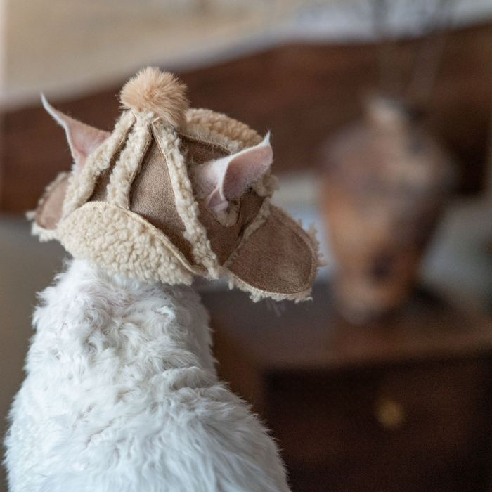 Fleece Aviator Hat for Sphynx & Devon Rex Cats - Ear-Out Winter Cap