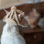 Fleece Aviator Hat for Sphynx & Devon Rex Cats - Ear-Out Winter Cap