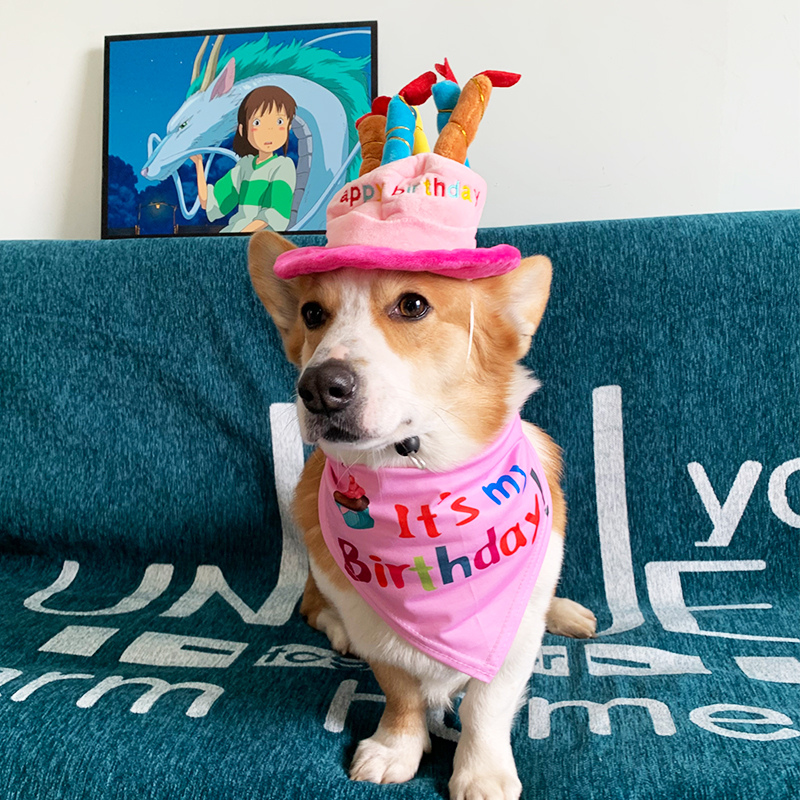 Dog Birthday Hat Toy