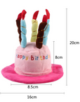 Dog Birthday Hat Toy