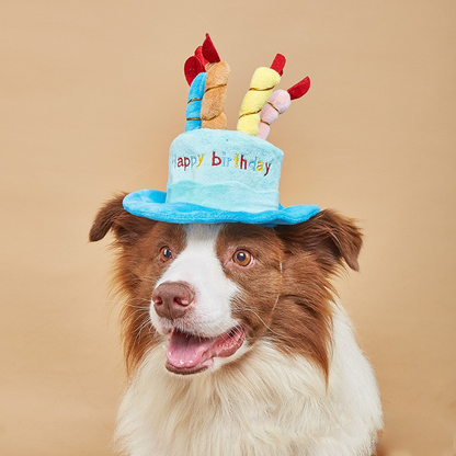 Dog Birthday Hat Toy