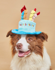 Dog Birthday Hat Toy