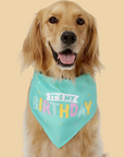 Dog Birthday Toy Set
