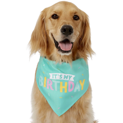 Dog Birthday Toy Set