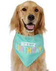 Dog Birthday Toy Set