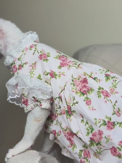 Floral Dress With Lace For Cats