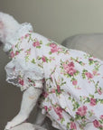 Floral Dress With Lace for Cats Cute Outfit