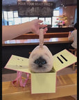 Siamese Cat Bag Plush Shoulder Bag for Daily Use