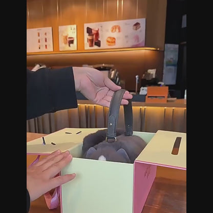 British Shorthair Black White Cat Bag Plush Shoulder Bag for Daily Use