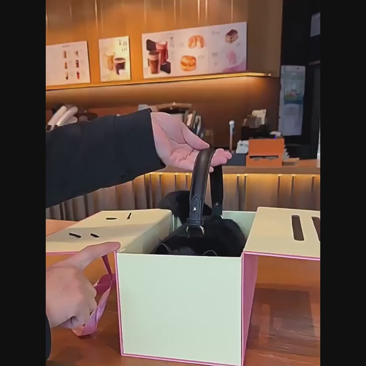 Black Shorthair Cat Bag Plush Shoulder Bag for Daily Use