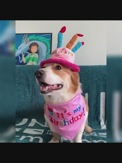 Dog Birthday Hat Toy